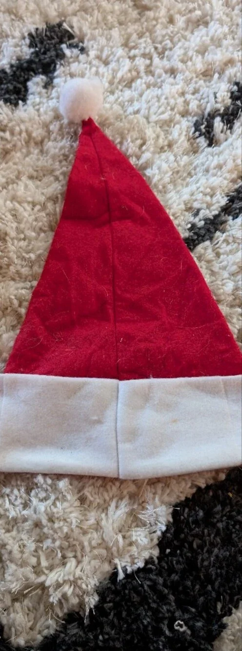 Mickey Mouse Santa Hat